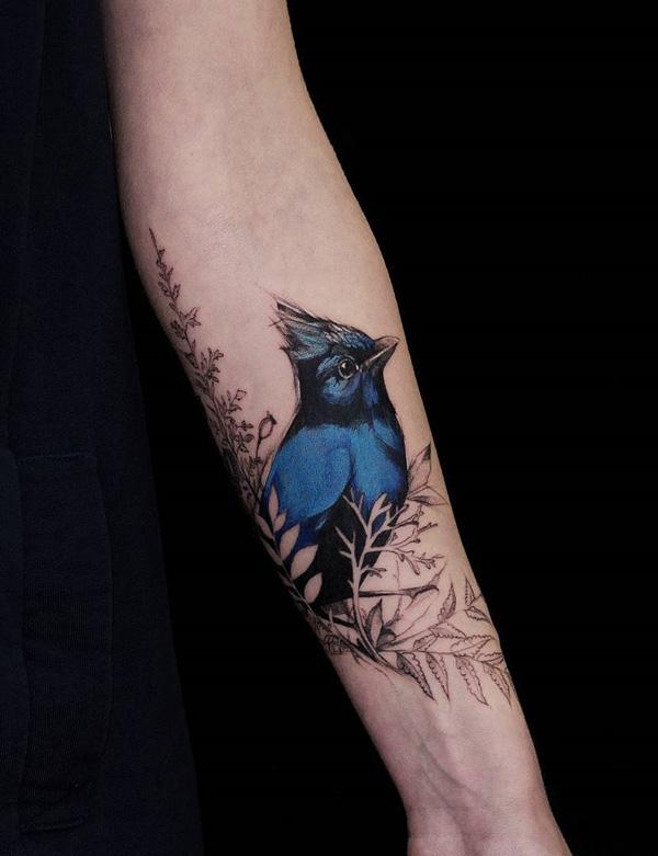 Csillagos szajkó madár tetoválás