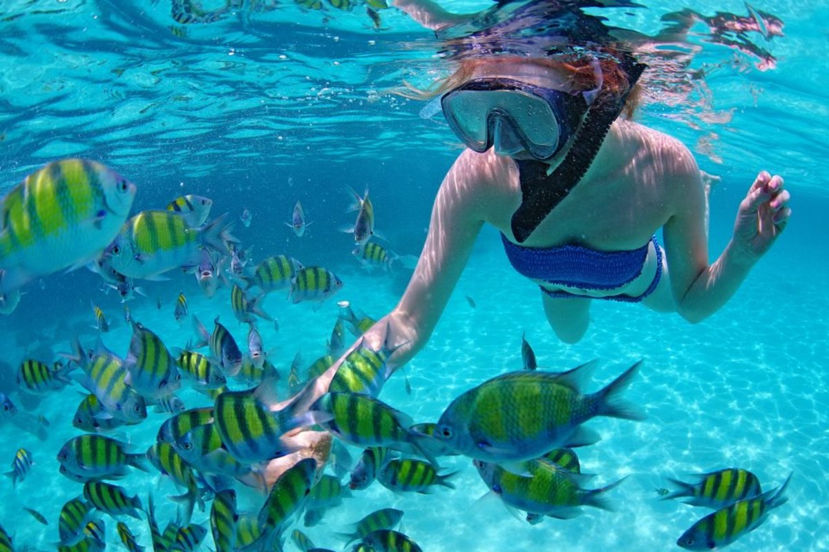 nybegynnere-guide-snorkling_LOCATION-960x640
