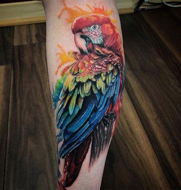 Színes papagáj tetoválás