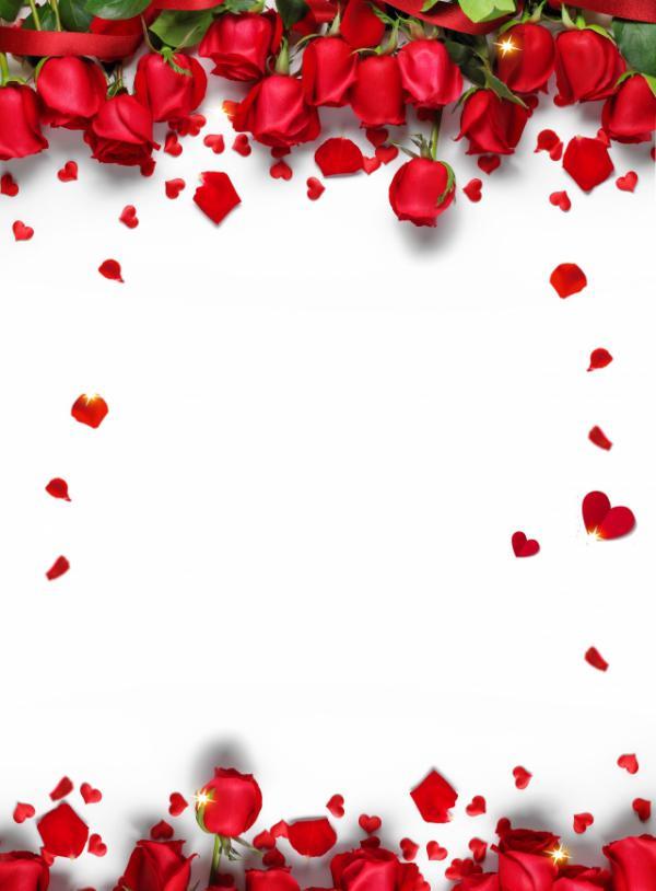 Romantisk Valentines Day Red Rose Petals Background