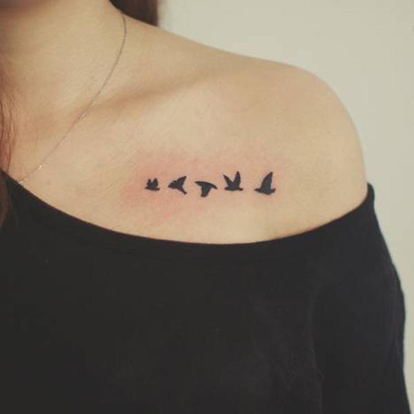 madarak clavcle tetoválása-5
