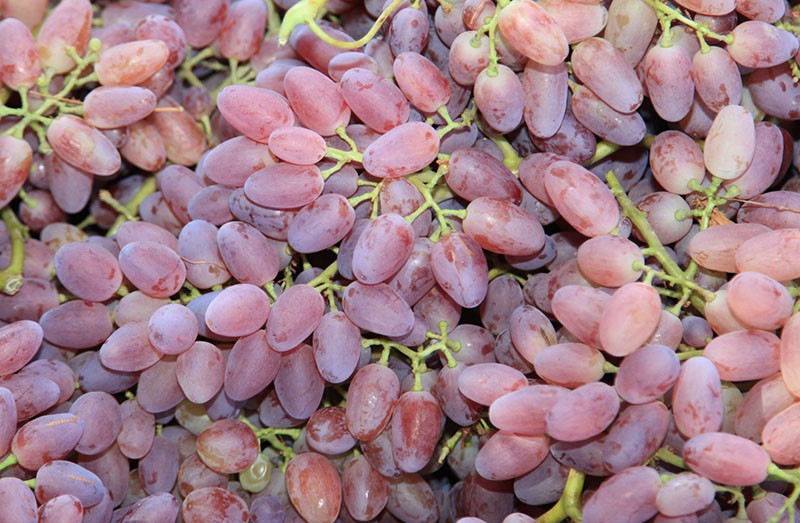 Kishimsh-druiven