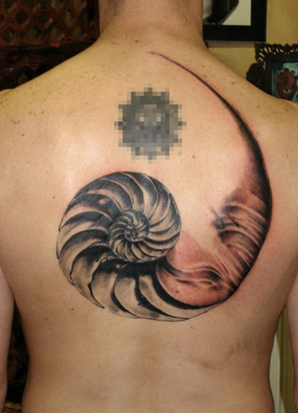 kagyló tetoválás-33
