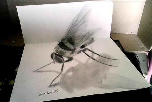 ציור 3D חרקים מאת חוזה א.