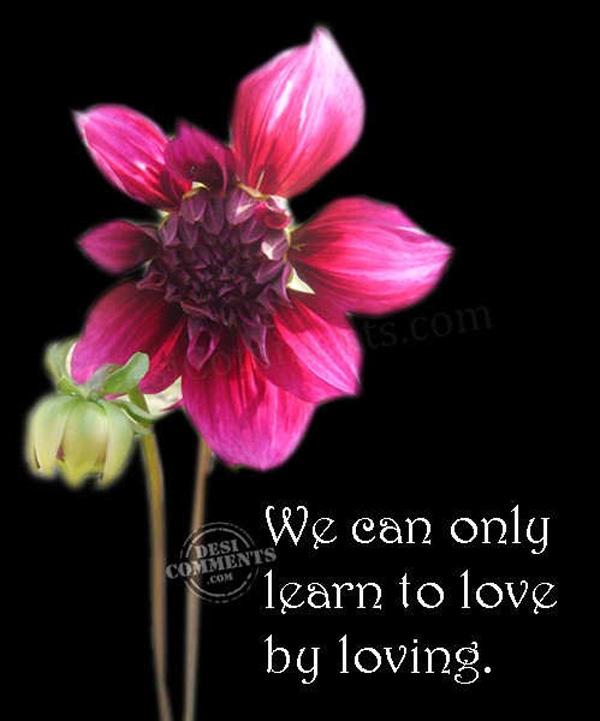 14 אנו יכולים ללמוד לאהוב רק על ידי אהבה