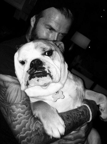 David Beckham kutyával