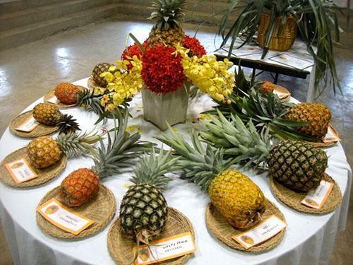 Ananas različitih sorti