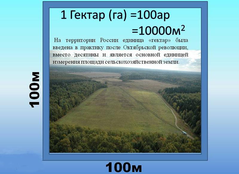 upotreba izraza hektar u Rusiji
