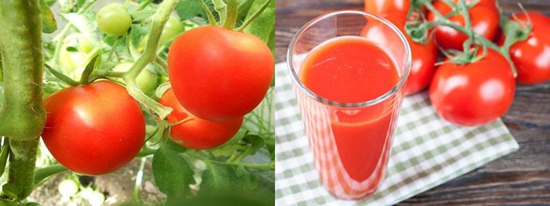 sok od rajčice verliok