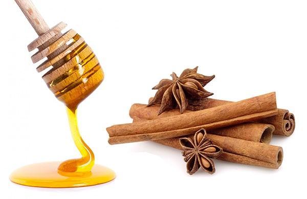 natuurlijke honing en kaneelstokjes