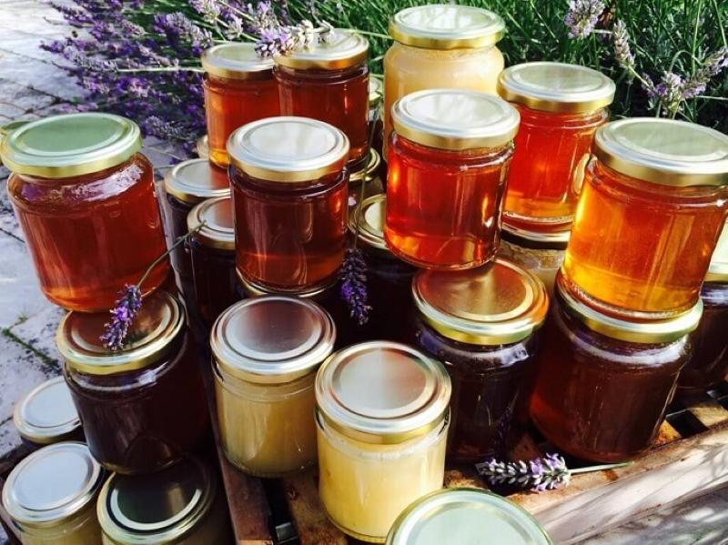 korisna svojstva cvjetnog meda