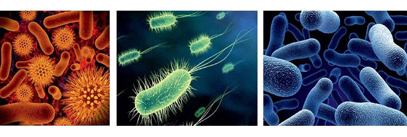 borba protiv patogenih mikroorganizama