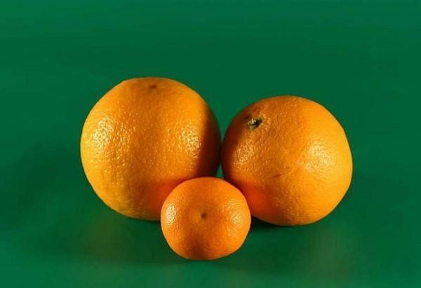 naranče i mandarine