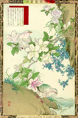 Japanci imaju cvijeće azaleje posvećeno senzualnoj ljepoti žena.
