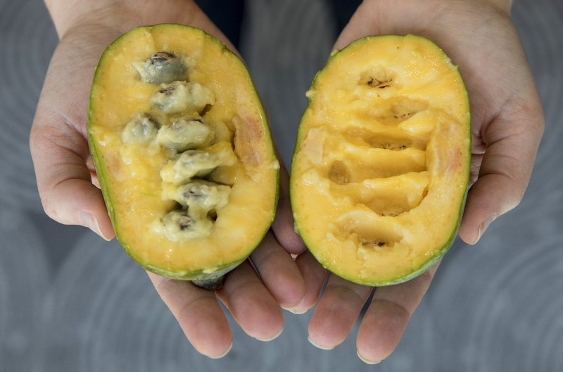 papaja fruit