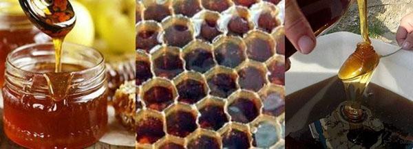 kwaliteit honing
