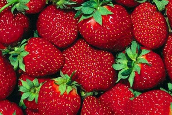 aardbeien bevatten veel vitamine C