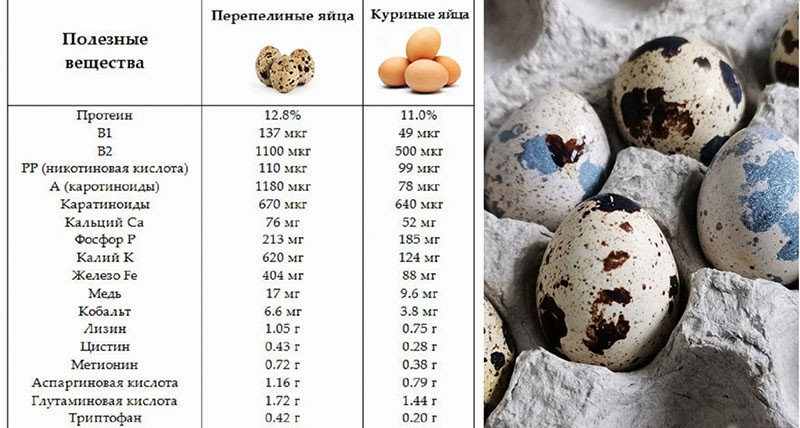 korisne tvari prepeličjih i kokošjih jaja