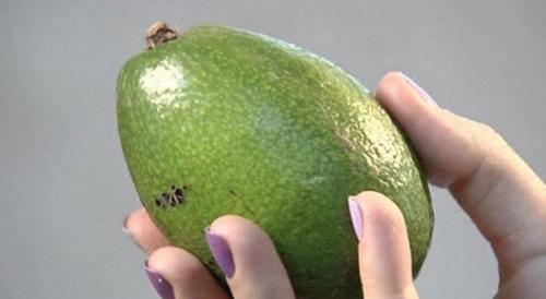 groene avocado