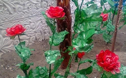 crvene ruže iz plastičnih boca
