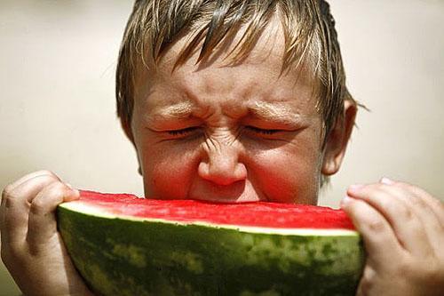 In plaats van zoetheid heeft het vruchtvlees van een vroege watermeloen bitterheid.