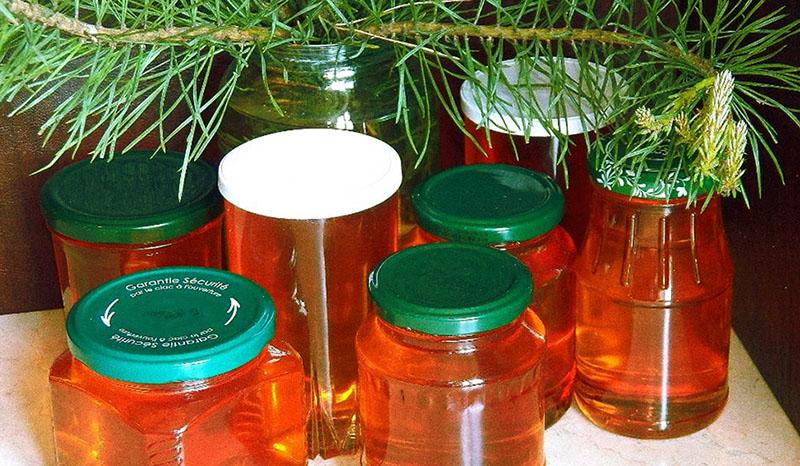 honing van dennenscheuten heeft contra-indicaties
