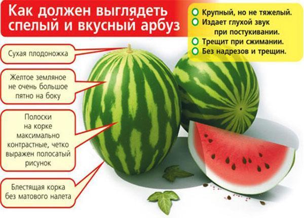 Op basis van deze criteria wordt een watermeloen op de markt gekozen.