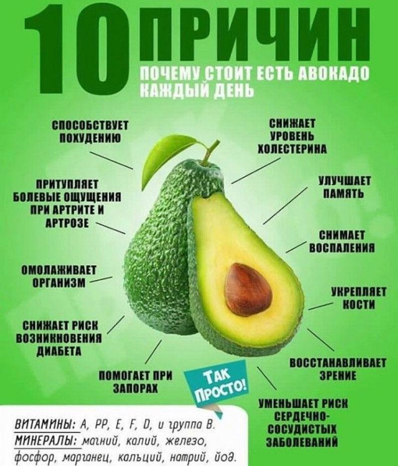 gunstige eigenschappen van avocado