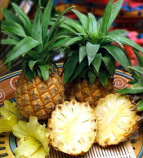 Minijaturni plodovi zatvorenog ananasa