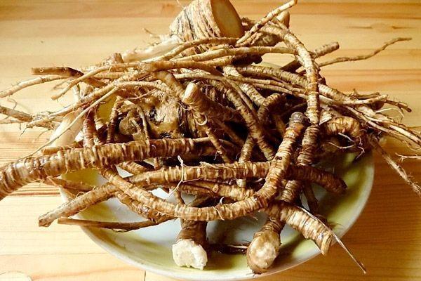Horny Goat Weed Root