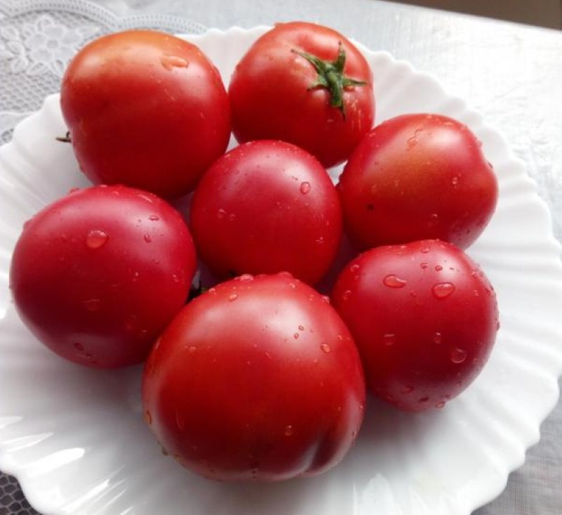 prednosti i nedostaci demidov rajčice