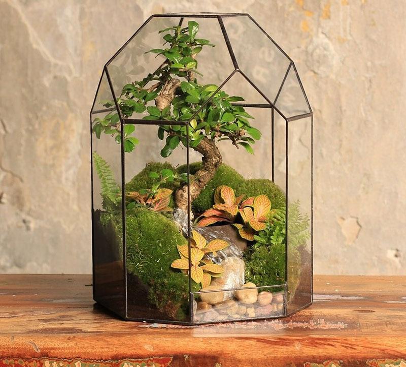 doe-het-zelf florarium oosterse bonsai