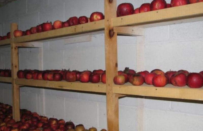 držanje jabuka na polici
