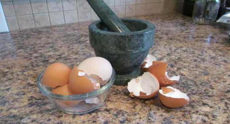 kako uzeti ljuske jaja