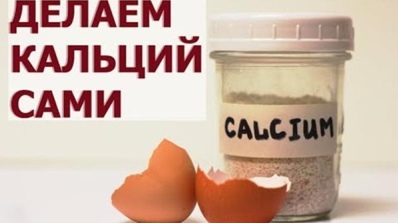 ljuska jaja kao izvor kalcija