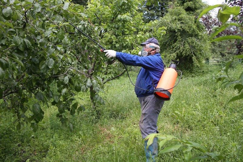 gebruik van fungicide voor fruitbomen