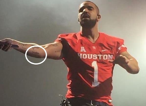(A képen, ahol Drake camo cápa tetoválása látható. Fotó: Drake/Instagram) Az álcápás cápatetoválást, amelyet Rihanna Drake-szel készített, először a New York-i tetoválóművész, Keith „Bang Bang” McCurdy fedte fel Instagram-fiókjában szeptember 1-jén. , 2016 -ban, és csak egy nappal később mutatta meg Drake a megfelelő cápa tetoválást a karján, egy New Orleans -i előadás során. Az ugyanabban a hónapban megjelent Vanity Fair cikk szerint a cápa dizájnját egy kitömött cápa ihlette, amelyet Drizzy adott RiRi -nek a nyári éjféli vacsora alkalmával a torontói akváriumban, és a hozzá illő tetoválásokat Drake öltözőjében, Miamiban készítették a nyáron Tizenhat túra.