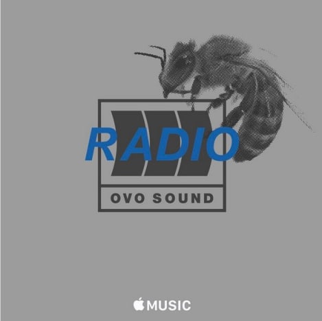 Drake nemrégiben közzétett egy promóciós fotót az OVO Sound Radio számára Instagram -fiókjában, és a képen egy méh látható, hasonlóan az új vállcsontjához. Az eredetileg 2016 októberében bejelentett Drake More Life projektjét mixtape -ként számlázták, nem albumként. „Ez csak a mixtape evolúciója, magyarázta Drake a DJ Semtexnek adott interjújában az OVO Sound Radio számára a múlt hónapban. „Egyre nehezebb volt azt mondani, hogy„ dobok egy mixet, de eladó az iTunes -on. ”Olyan volt, hogy„ Ó, ez az ön albuma. ”Nem akartam, hogy az emberek azt mondják, ez a következő albumom. A Views volt az albumom. Ez az, amit a Views után csak inspiráltam. Tovább akartam tartani a zenét. ” A hónap elején Drake egy németországi fellépés során bejelentette a lejátszási lista közelgő megjelenését, és ezt mondta: „Tudom, hogy eltart egy ideig, de ma este a szállodába megyek, hogy befejezzem ezt a More Life szart, hogy átadhassam neked a lehető leghamarabb. Szóval remélem, készen áll arra, hogy élvezze az új zenéket. ”
