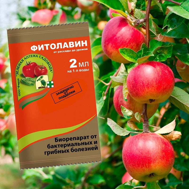 fytolavine-fungicide voor fruitbomen