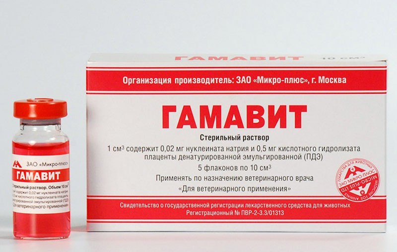 gamavit-medicijn
