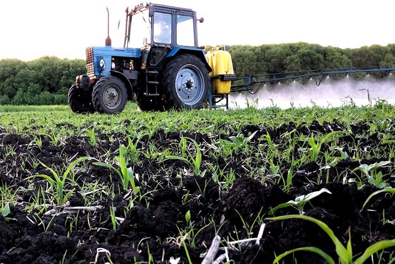 primjena herbicida na usjevima kukuruza