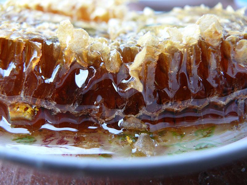 češljevi meda od kestena