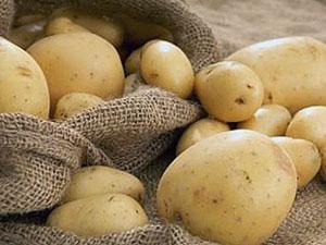 Čist, nezagađen krumpir
