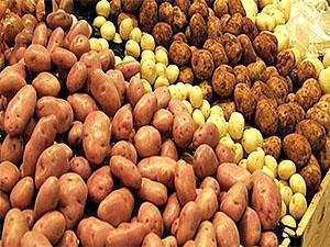 Aardappelen van verschillende rassen