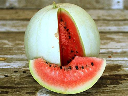 Witte watermeloen heeft rood of roze vruchtvlees