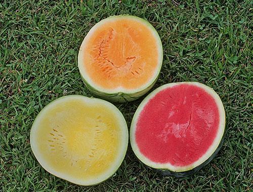 Watermeloenen met pulp van verschillende kleuren