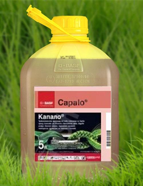 lijek Kapalo