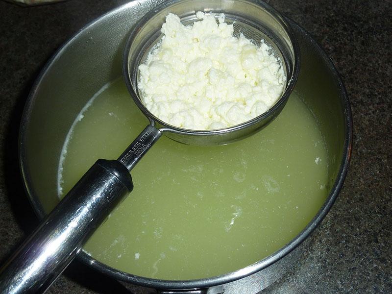 skupljati svježi sir