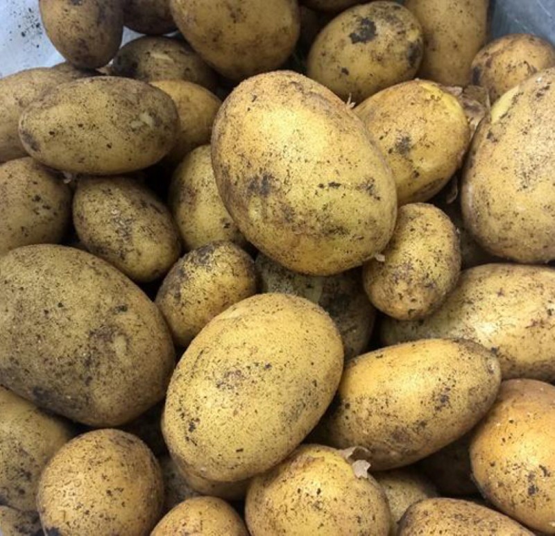 voor- en nadelen van Veneta-aardappelen