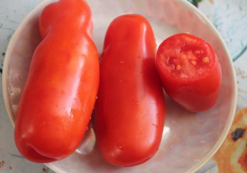 fruit van tomaten casanova